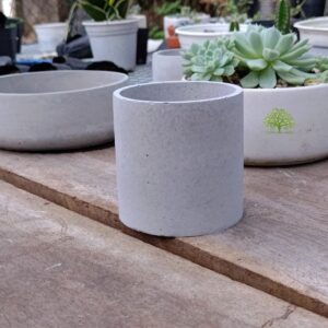 Chậu Xi Măng Hình Trụ 10 x 10 x 10